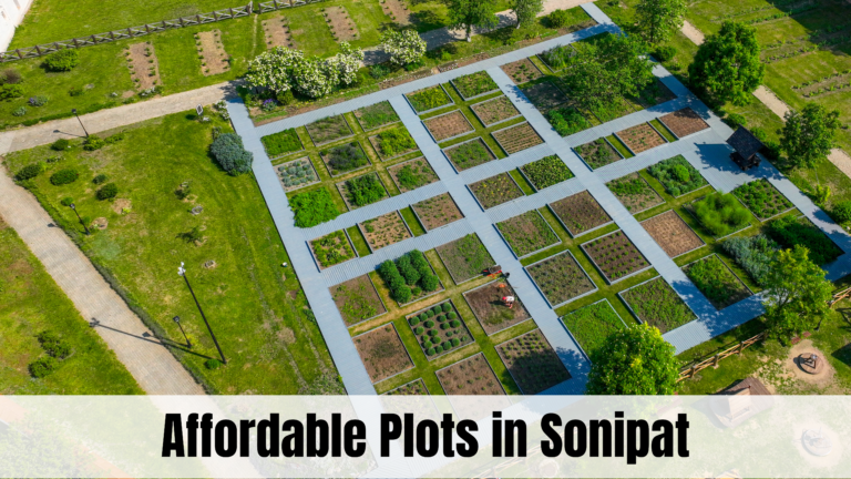 Plot in Sonipat